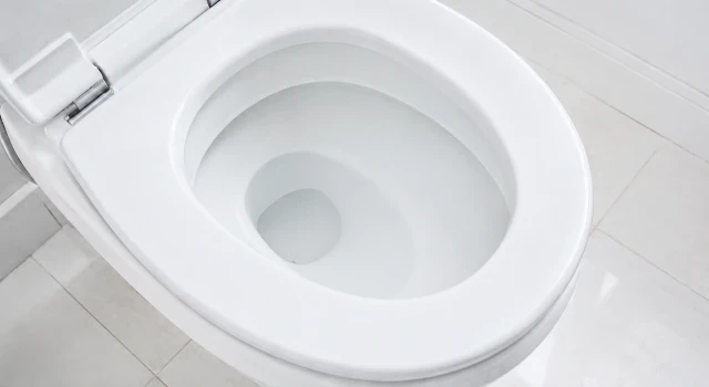 便器を斜め上から眺めている